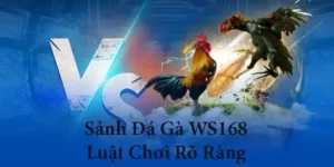 Cách Chơi Đá Gà Ws168 Iwinclub Đặt Cược Trực Tuyến Hiệu Quả