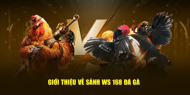Cách Chơi Đá Gà Ws168 Iwinclub Đặt Cược Trực Tuyến Hiệu Quả