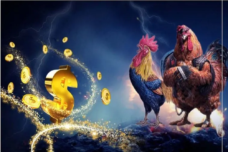 Đá Gà iWinClub Trải Nghiệm Cá Cược Chi Tiết Hấp Dẫn Người Chơi
